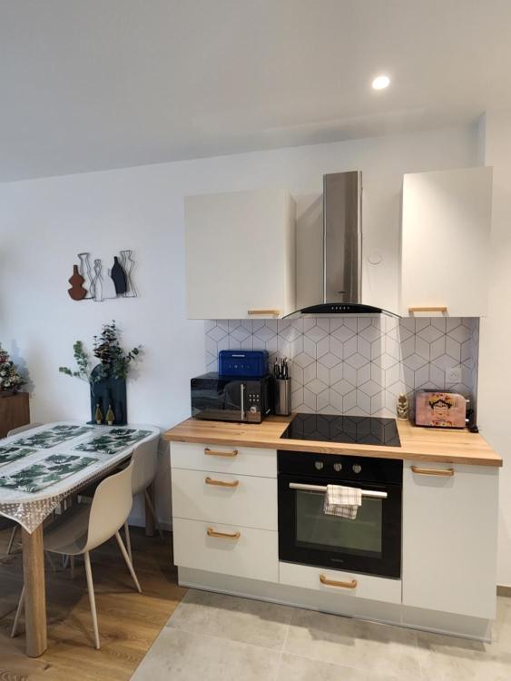 Apartment Trois Merlettes Schiltigheim